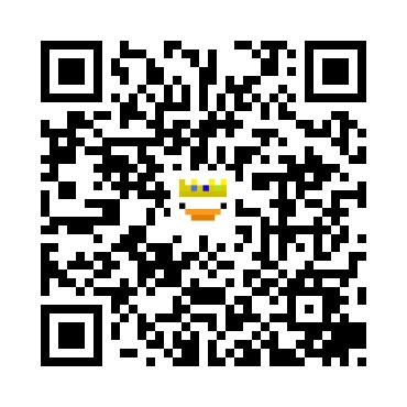 skins.qr_code_alt