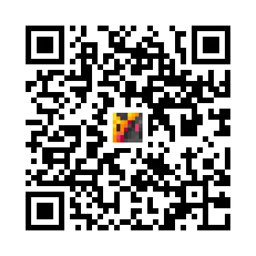 skins.qr_code_alt