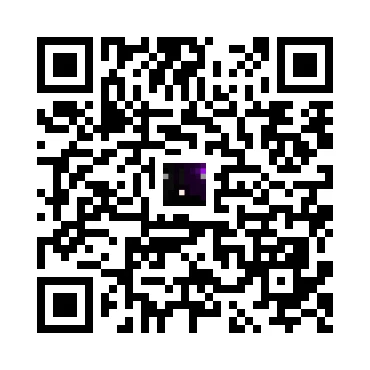 skins.qr_code_alt