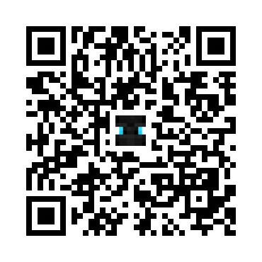 skins.qr_code_alt