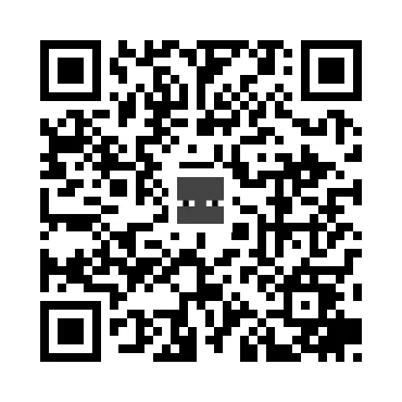 skins.qr_code_alt