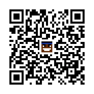 skins.qr_code_alt
