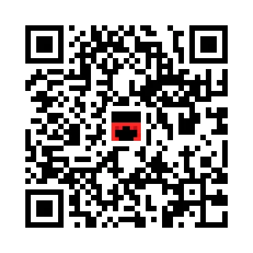 skins.qr_code_alt