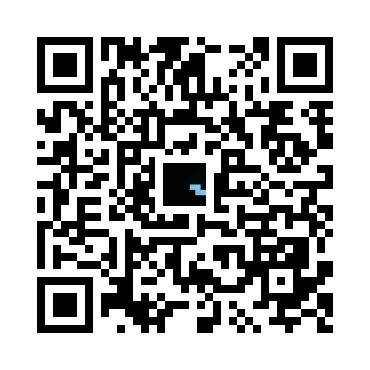 skins.qr_code_alt