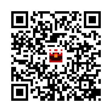 skins.qr_code_alt