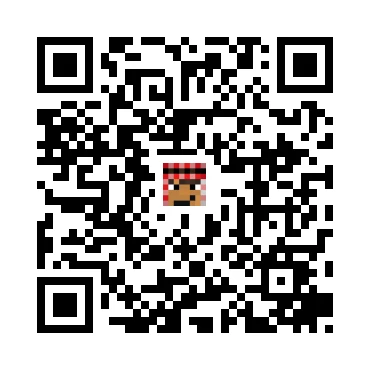 skins.qr_code_alt