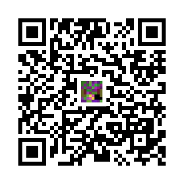 skins.qr_code_alt