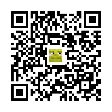 skins.qr_code_alt