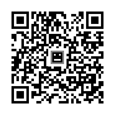 skins.qr_code_alt