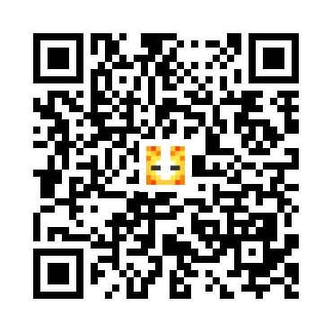 skins.qr_code_alt