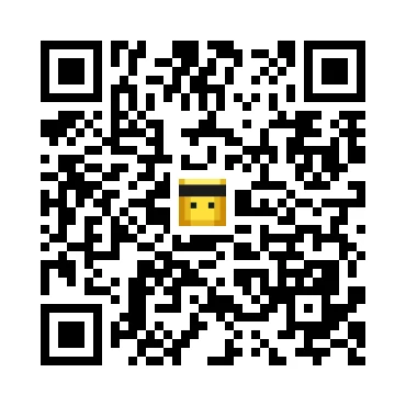 skins.qr_code_alt