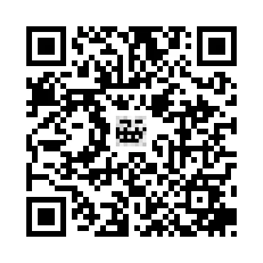 skins.qr_code_alt