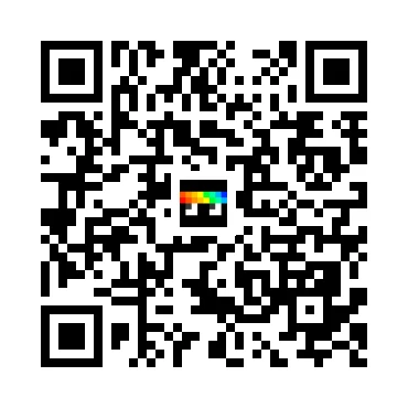 skins.qr_code_alt