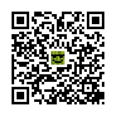 skins.qr_code_alt