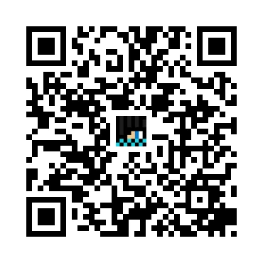 skins.qr_code_alt