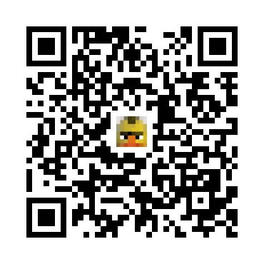 skins.qr_code_alt