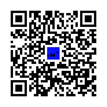 skins.qr_code_alt