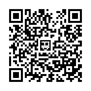 skins.qr_code_alt