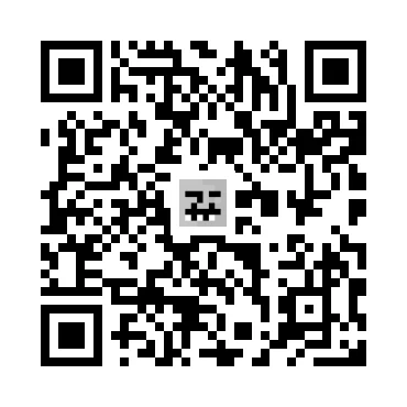 skins.qr_code_alt