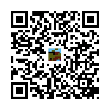 skins.qr_code_alt