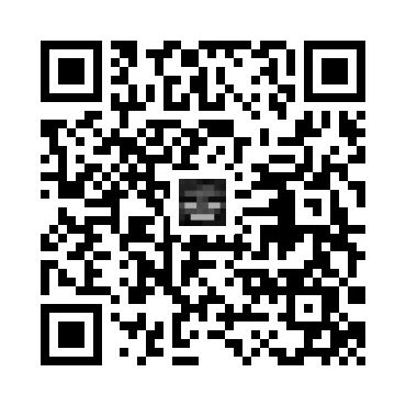 skins.qr_code_alt