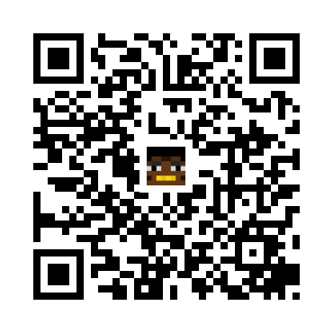 skins.qr_code_alt