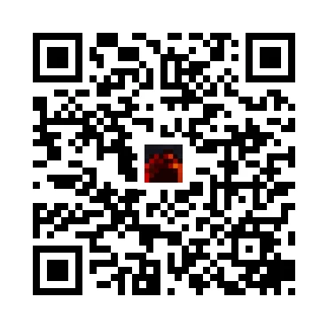 skins.qr_code_alt