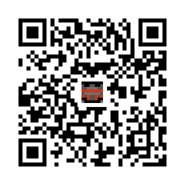 skins.qr_code_alt