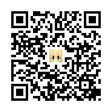 skins.qr_code_alt