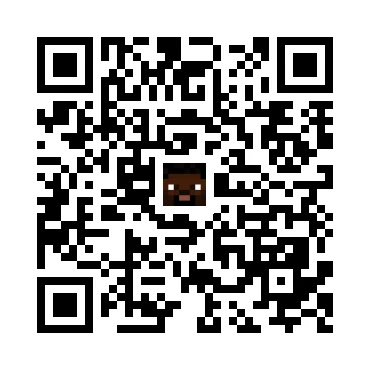 skins.qr_code_alt