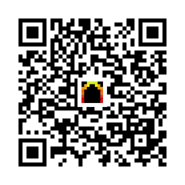 skins.qr_code_alt