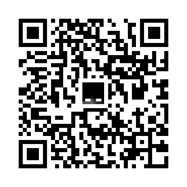 skins.qr_code_alt