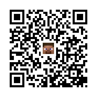 skins.qr_code_alt