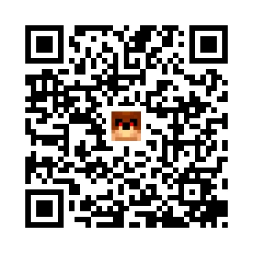 skins.qr_code_alt
