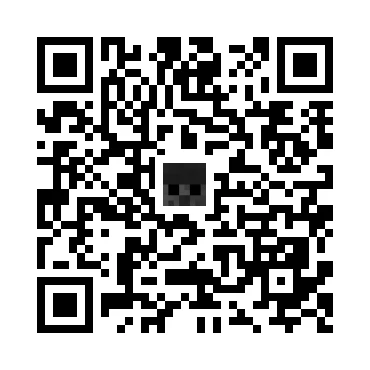 skins.qr_code_alt