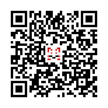 skins.qr_code_alt