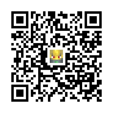 skins.qr_code_alt