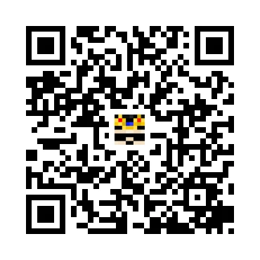 skins.qr_code_alt