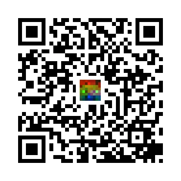 skins.qr_code_alt