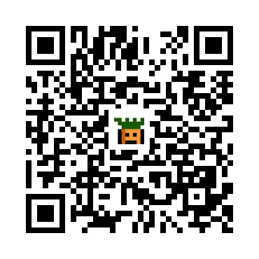 skins.qr_code_alt
