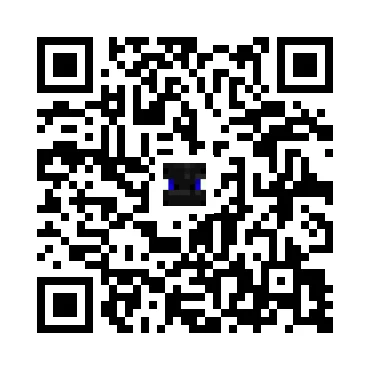 skins.qr_code_alt