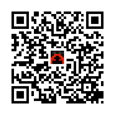skins.qr_code_alt