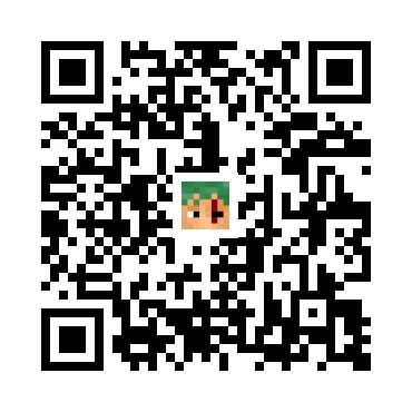 skins.qr_code_alt