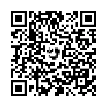 skins.qr_code_alt