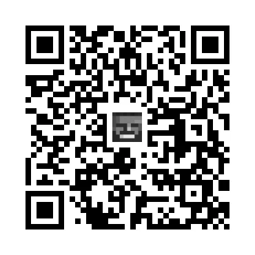 skins.qr_code_alt