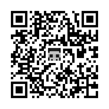 skins.qr_code_alt