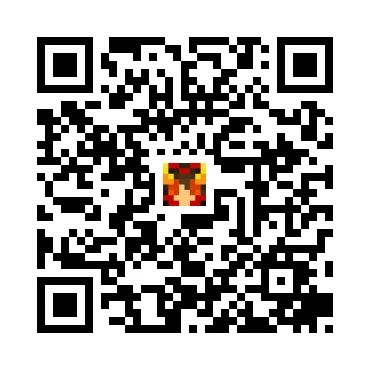 skins.qr_code_alt