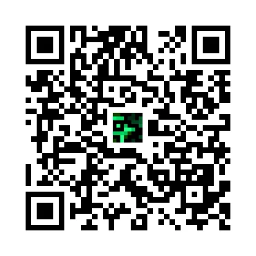 skins.qr_code_alt