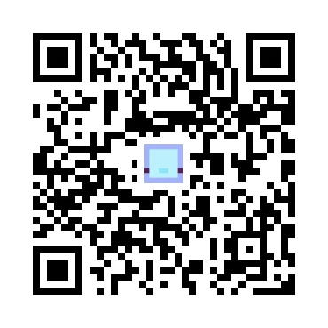 skins.qr_code_alt