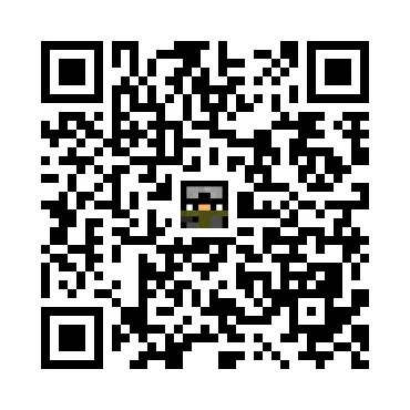 skins.qr_code_alt